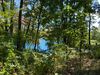 114 Tree Ln photo